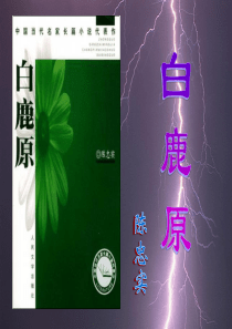 《白鹿原》.