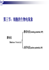 《生理学》细胞的基本功能3细胞的电活动精品