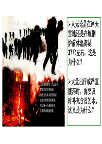 《细胞生活的环境及内环境的重要性》ppt.