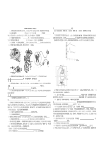 七年级生物期终复习试题六