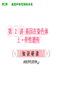 XXXX高考生物复习知识研习课件：22基因在染色体上-伴