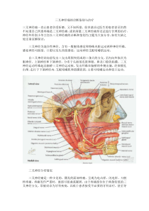 三叉神经痛的诊断鉴别与治疗