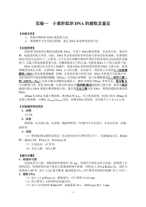 《分子生物学检验技术》实验指导