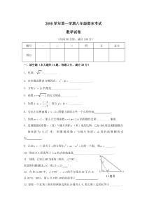 上海市卢湾区2008—2009学年八年级上学期期末数学试卷