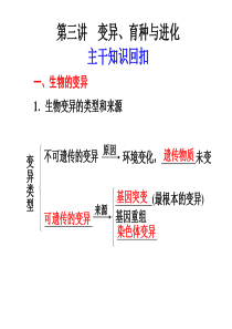 【高中生物】变异育种与进化