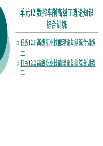 单元12 数控车削高级工理论知识综合训练