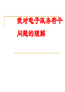 电子政务建设指导原则（PPT38页)