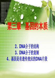 一轮复习---DNA分子的结构-DNA分子的复制-基因是有遗传效应的DNA片段