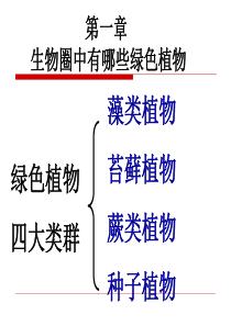 七年级上册生物藻类苔藓和蕨类植物