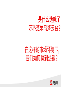 万科前期营销储客策略执行规划步法.