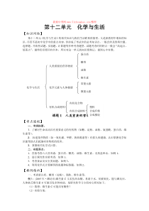 【09中考备战】第12单元化学与生活