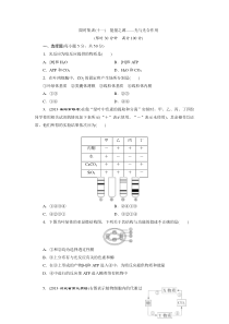 【最新】2014高考生物大一轮限时集训能量之源光与光合作用(含解析)