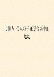 【物理】2009高考二轮专题复习课件带电粒子在复合场中的运动