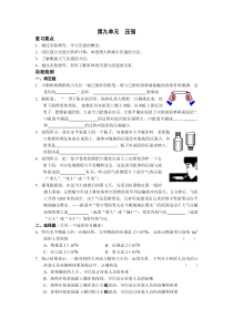 【独家隆重推出】2009年中考物理复习指南第九单元压强