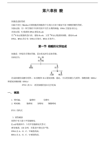 【考研必备】王镜岩生物化学笔记第六章核酸