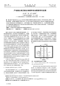 产电微生物及微生物燃料电池最新研究进展