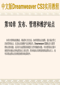 《中文版Dreamweaver_CS3网页制作实用教程》课件第10章