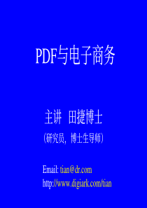 PDF与电子商务