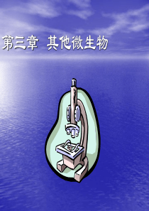 其他微生物