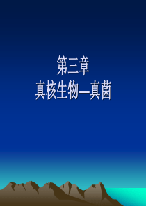 内蒙古科技大学食品微生物课件4