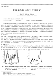 XXXX年汽车零部件进出口数据