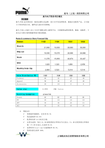 Puma电子商务信息收集