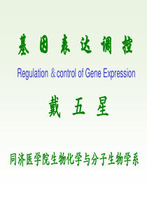 分子生物学3