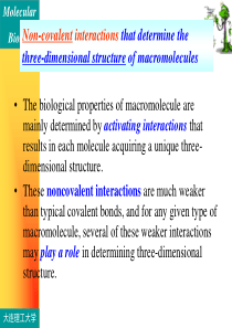 分子生物学48742850