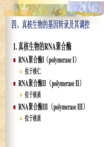 分子生物学9