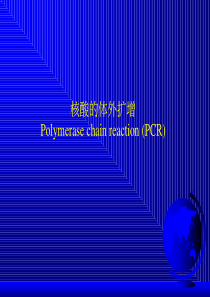 分子生物学PCR