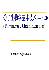 分子生物学基本技术 —PCR (Polymerase Chain Reaction)