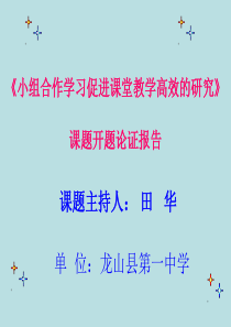 《小组合作学习促进课堂教学高效的研究》开题报告