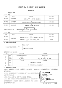 “细胞呼吸光合作用”重点知识梳理