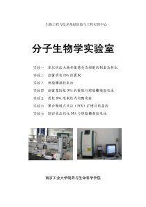 分子生物学实验手册 -高校教材