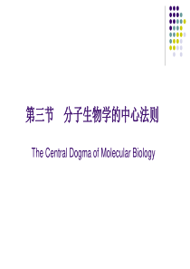 分子生物学的中心法则