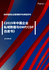 2019年中国企业私域数据与DMP-CDP白皮书