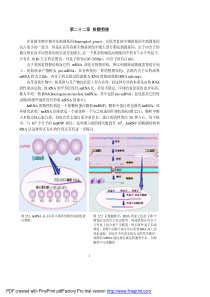 分子生物学第22章