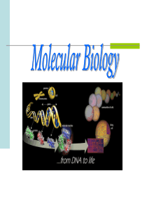 分子生物学课件 第一章 绪论