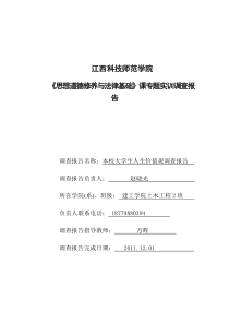 《思想道德修养与法律基础》课专题实训调查报告