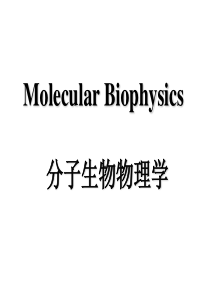 分子生物物理学