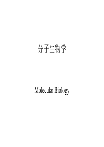 分子生物学 第一章 绪 论