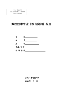 数控技术专业《综合实训》报告