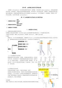 《医用细胞生物学》知识总结04