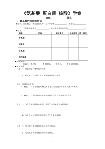 《氨基酸蛋白质核酸》学案