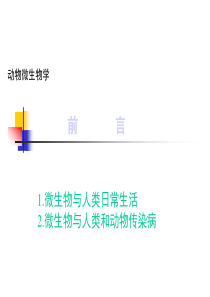 动物微生物学(PPT36)(1)