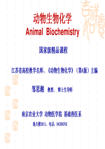 动物生物化学-PowerPointPresentati