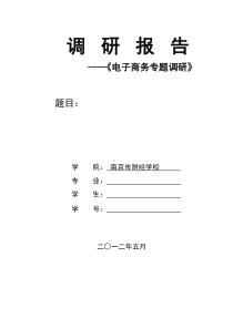 《电子商务专题调研报告》模版