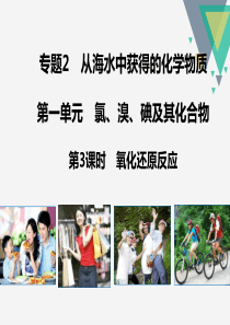 《教师参考》苏教版(高中化学)必修1同课异构课件213氧化还原反应2