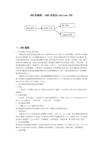 RNA的提取和cDNA合成与realtimePCR-100125