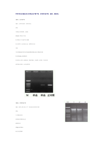 PCR常见问题分析及对策